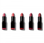 Revolution Pro Revolution Lip Raudona Set ( Lips tick Collection) 5 x 3.2 g lūpų kosmetika Moterims