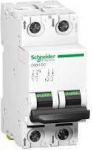 Schneider A9N61539 Grandinės pertraukiklis, C60H, 2p, 63A, charakteristika C A9N61539
