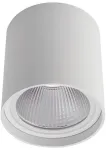 20W LED pavir&scaron;inis lauko &scaron;viestuvas XIA, baltas, 4000K, IP54, 90029