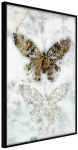 Plakatas - Butterfly Fossils