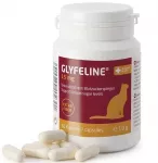 Purina Nestle Purina GLYFELINE 15 mg GLIKOAMINO VALDYMAS KATĖMS 60 kaps.