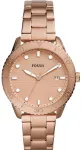 Laikrodis FOSSIL modelis DAYLE