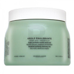 K&eacute;rastase Specifique Argile &Eacute;quilibrante Cleansing Clay valomasis molis plaukams, 500 ml