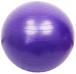 Pezzi Italija Gimnastikos Kamuolys Original Pezzi Maxafe 65 cm, Violetinis