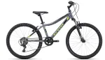 Dviratis CTM Berry 24"