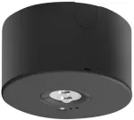NEXO emergency luminaire, LED, 2.5W, 350lm, 6400K, AC220-240V, IP65, 3h, TEST, juodas