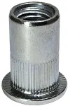 Plieninis kniedveržlės cinkuotas didelis flan&scaron;as didesnis sukibimas 4-6 mm M12 100 vnt