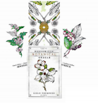 Llewellyn Hedgewitch Botanical Oracle kortos