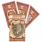 Us Games Systems Shaman Wisdom Cards &ndash; &scaron;amani&scaron;kos i&scaron;minties orakulo kortos