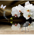 Deco Detales Fototapetai - Orchidėjos gurk&scaron;nis : Size - 350x245