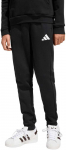 Kelnės vaikams adidas Entrada 26 Sweat Pants juoda JZ9136 (140cm)