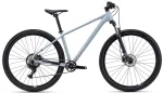 Dviratis CTM Rambler 1.0 29"