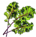 Click and Grow 3 vnt. papildymas - lapinių kopūstų sėklos (Kale)