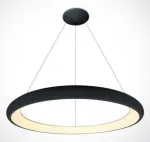 50W LED pakabinamas &scaron;viestuvas, juodas, 3000K, 62144NB/B/W
