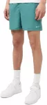 Nike Maudymosi &Scaron;ortai Vyrams 5""Volley Short Žalias NESSA560 302