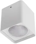 20W LED pavir&scaron;inis lauko &scaron;viestuvas XIA, baltas, 4000K, IP54, 90031