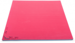 Tatamis Gymstick Tatami Mat 100 x 100 x 2 cm