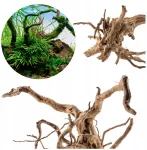 Raudona Moor &scaron;aknis L 40-50cm &ndash; akvariumo dekoracija
