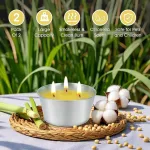 Kercamkel didelė citronelių žvakė lauke, 2 x 473 ml - 120 valandų citronelių žvakės lauke, lauko žvakė terakotos dubenyje - natūralaus sojų va&scaron;ko žvakių rinkinys balkonui, i&scaron;kylai, terasai, stalo dekoravimui