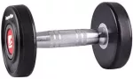 Gumuotas hantelis inSPORTline PRO 14kg