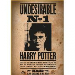 Wizarding World ThumbsUp! Dėlionė Haris Poteris "Ie&scaron;komas Nr.1" 50Teile