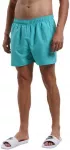Nike Maudymosi &Scaron;ortai Vyrams 5""Volley Short Mėlyna NESSA560 480