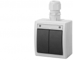 Elektro Plast Nasielsk ŽVAKĖS STOVĖLIO JUNGTIS N/T IP65 PILKA AQUANT2