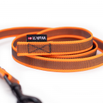 WalkFit - Walk'it neslystantis sekimo pavadėlis be rankenos - Oranžinis - XL - 10m