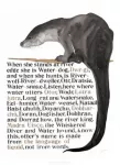 KNYGA Bookshop Jackie Morris Poster: Names of the Otter, The