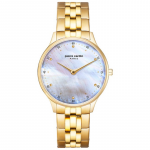 Laikrodis Pierre Cardin A.PC902722F208