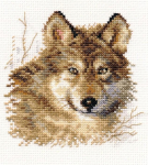 Alisa Beldizart Wolf S1-27