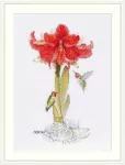 Merejka Amaryllis SK202