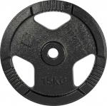 Cast Iron Weight Plate inSPORTline Hamerton Juodas 15 kg, 30 mm