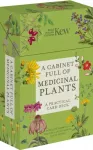KNYGA Bookshop Cabinet Full of Medicinal Plants
