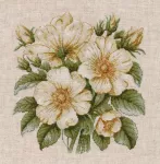Oven Kryželiu siuvinėjimo rinkinys &bdquo;Laukiniai er&scaron;kėtuogiai&ldquo; 23&times;23 cm
