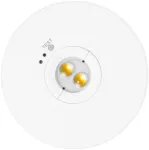 NEXO emergency luminaire, LED, 2.5W, 350lm, 6400K, AC220-240V, IP65, 3h, TEST, baltas