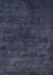 Fargotex Kilimas CANYON 200X300