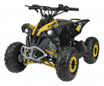 1Deame Benzininis keturratis RENEGADE HighPer 110CC, Geltona