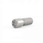 SCHROFF Śruba ustalająca SCHROFF, nerūdijantis plienas, M2.5 x 9, Torx 8