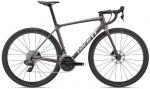 Plento dviratis Giant TCR Advanced Pro 1 Disc-AR | spalva: Charcoal Plum | dydis: XL
