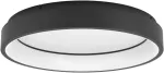 Lamp EGLO - Marghera-Z lubinis &scaron;viestuvas juodas &Oslash;60 - RGB + TW - Zigbee, Bluetooth