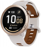 I&scaron;manusis laikrodis Stelio STSWA102GT Activ Pro GPS 46mm Gold Titanium