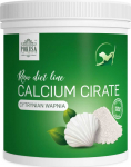 Pokusa TEMPTATION kalcis (kalcio citratas) 250 g
