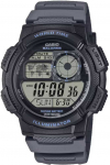 Vyri&scaron;kas laikrodis CASIO AE-1000W-8AVEF (zd073j) - WORLD TIME + BOX