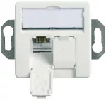 Teleg&auml;rtner 100022957, 2 x RJ-45, 6a, Balta, Cinkas, 1 vnt.