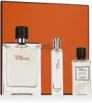 Herm&egrave;s Terre D'Herm&egrave;s EDT 100 ml + EDT 15 ml + SG for Body & Hair 40 ml (man)