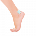 Prim Kulnų Apsaugos CC213, Priklijuojamos