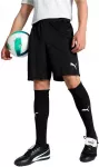 Puma &Scaron;ortai Vyrams TeamGoal Shorts Juodas 705752 03