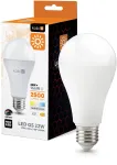 22W LED lemputė GS, E27, balta, 4000K, 180&deg;