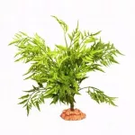 Terra Natura Terariumo dekoracija, dykumos augalas ant didelio pagrindo, 40 cm